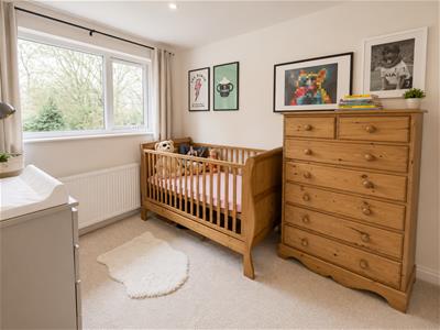 Picture 12